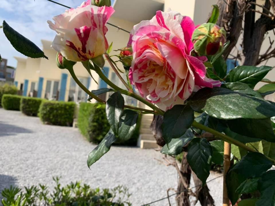 Hotel L'Etape Villeneuve-Loubet Ngoại thất bức ảnh